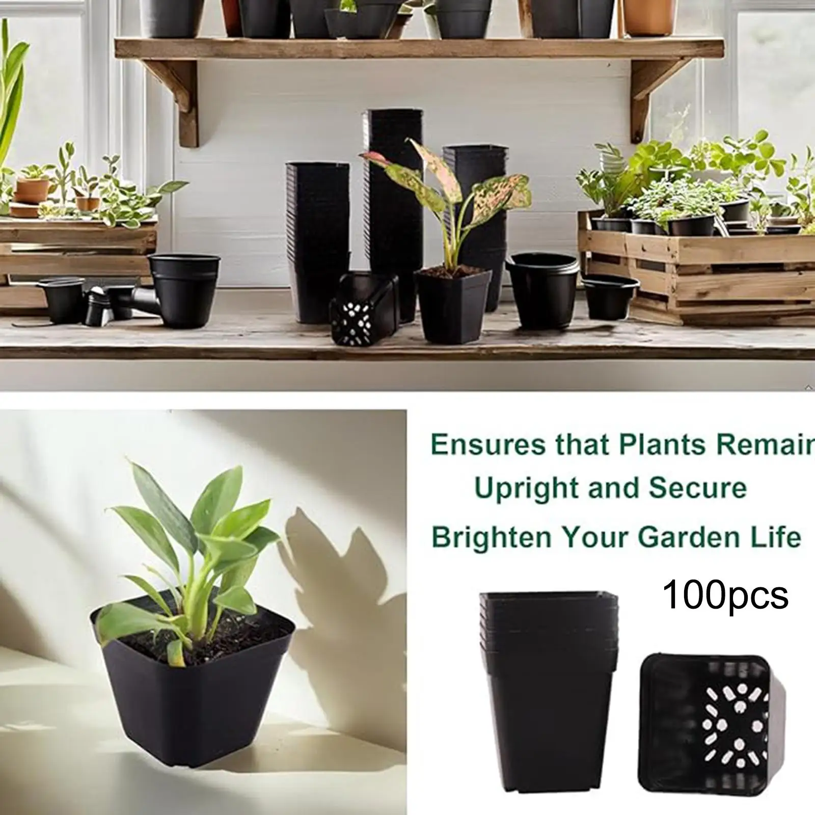 Square Nursery Pots Seedling Starting Pot with Drainage Holes Bonsai Planter Pot Container Starter for Transplanting Balcony
Square Nursery Pots Seedling Starting Pot with Drainage Holes Bonsai Planter Pot Container Starter for Transplanting Balcony