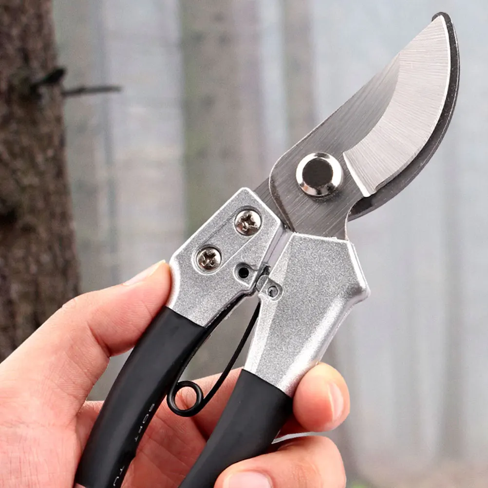 1pc Pruning Shears Garden Tree Shear Non-Slip Ergonomic Handle For Branch Cutting Durable Rust-Resistant Gardening Tool
1pc Pruning Shears Garden Tree Shear Non-Slip Ergonomic Handle For Branch Cutting Durable Rust-Resistant Gardening Tool