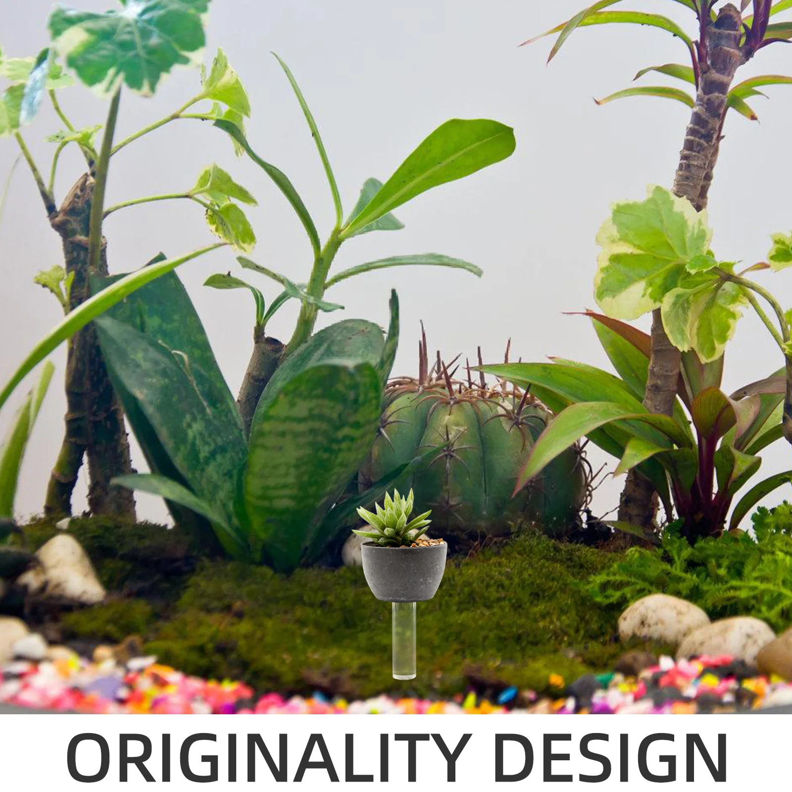 6Pcs Acrylic Clear Dowel Rods for Micro Landscape Craft Support Floating Effect in Water Acrylic Dowel Rod Plant Support Rod
6Pcs Acrylic Clear Dowel Rods for Micro Landscape Craft Support Floating Effect in Water Acrylic Dowel Rod Plant Support Rod