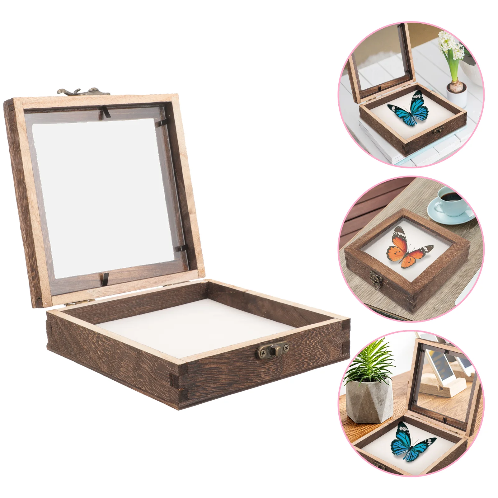 Glass Insect Specimen Box Vintage Display Case Storage Butterflies Plant Cases Frame
Glass Insect Specimen Box Vintage Display Case Storage Butterflies Plant Cases Frame