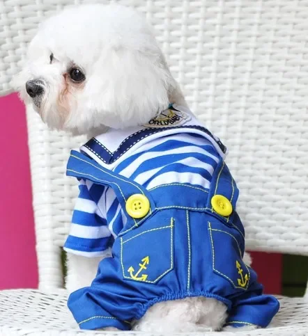 Pet autumn summer clothing British sailor four-legged clothing overalls Teddy Schnauzer dog clothing supplies directly from the
Pet autumn summer clothing British sailor four-legged clothing overalls Teddy Schnauzer dog clothing supplies directly from the