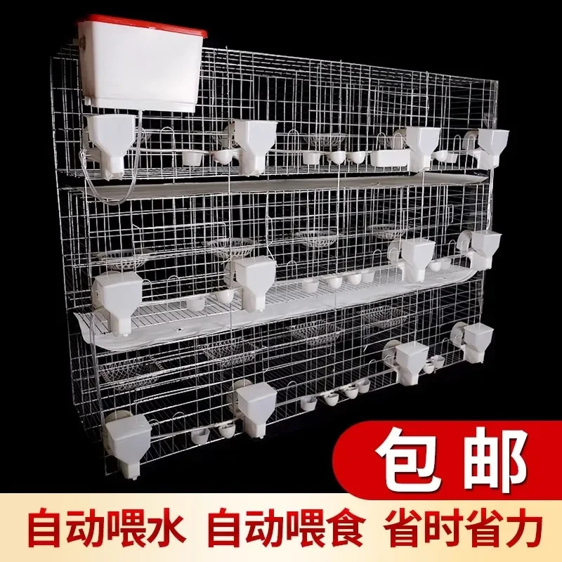 Free shipping pigeon cage household products 12 breeding special carrier pigeons pairing meat pigeon breeding pigeon cage
Free shipping pigeon cage household products 12 breeding special carrier pigeons pairing meat pigeon breeding pigeon cage