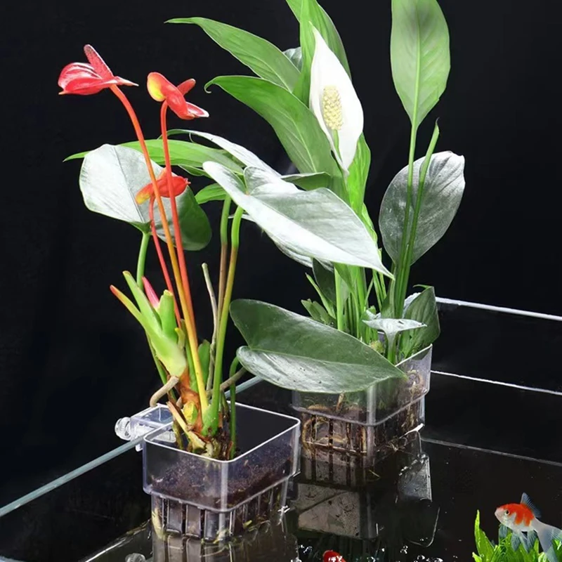 Aquarium Hydroponics Planting Cup Household Aquatic Plant Cup Acrylic Cup Fish Tank Landscaping Decoration
Aquarium Hydroponics Planting Cup Household Aquatic Plant Cup Acrylic Cup Fish Tank Landscaping Decoration