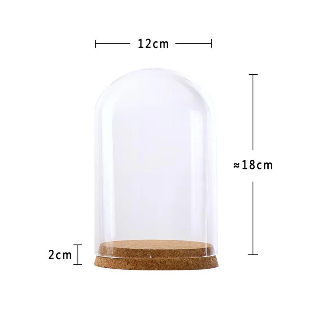 Стеклянный купол-террариум с основанием, прозрачная стеклянная ваза для декора дома и сохранения цветов
Стеклянный купол-террариум с основанием, прозрачная стеклянная ваза для декора дома и сохранения цветов