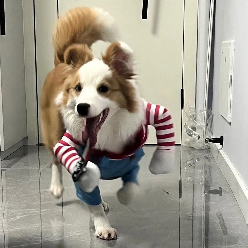 Halloween Costume Fun Pet Dog And Knife Transformation Clothing Border Collie Golden Retriever Warm Casual Dog Pet Clothes
Halloween Costume Fun Pet Dog And Knife Transformation Clothing Border Collie Golden Retriever Warm Casual Dog Pet Clothes