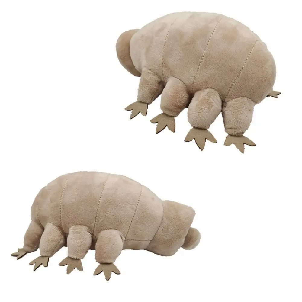 Tardigrade Dolls Tardigrade Plush Toy Cute Cartoon Water Bear Plush Doll 25cm Soft Tardigrade Plush Doll Kids Birthday Christmas
Tardigrade Dolls Tardigrade Plush Toy Cute Cartoon Water Bear Plush Doll 25cm Soft Tardigrade Plush Doll Kids Birthday Christmas