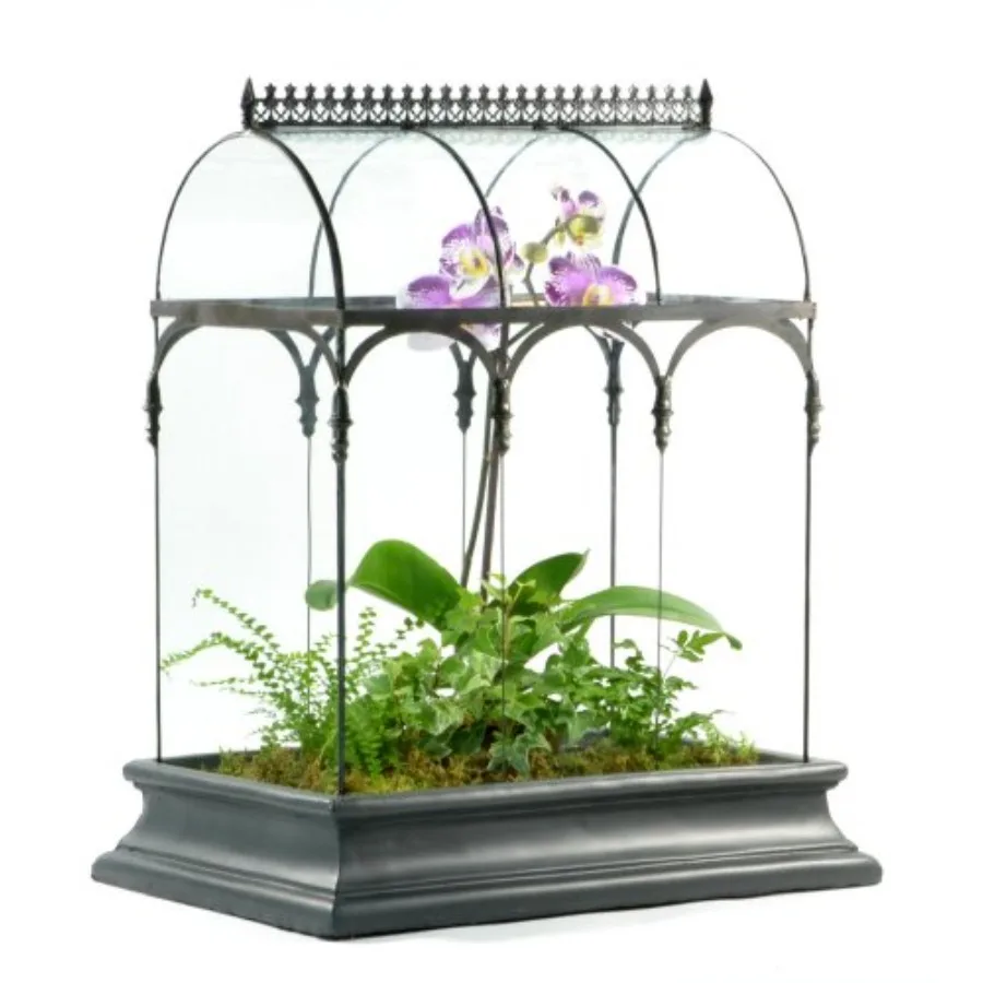 Indoor display terrarium: large curved glass Wardian case, 22-inch tall, resin base, clear transparent, elegant minimalist desi
Indoor display terrarium: large curved glass Wardian case, 22-inch tall, resin base, clear transparent, elegant minimalist desi