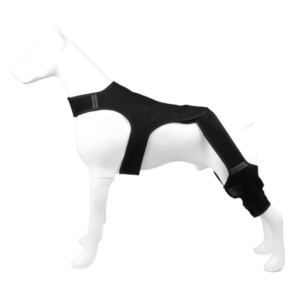 Adjustable Dog Rear Leg Brace Reflective Design Breathable Pet Leg Support Black with Stabilizers Elbow Protection Cover
Adjustable Dog Rear Leg Brace Reflective Design Breathable Pet Leg Support Black with Stabilizers Elbow Protection Cover