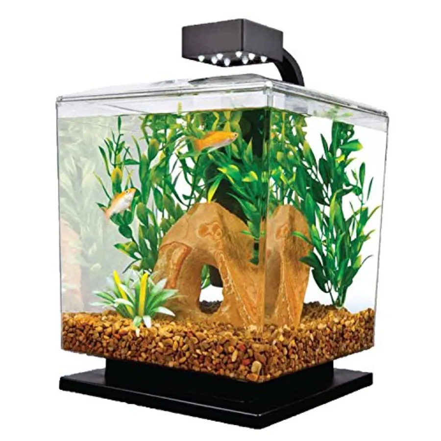 29137 Water Wonder Aquarium Kit Black 1.5 Gallons
29137 Water Wonder Aquarium Kit Black 1.5 Gallons