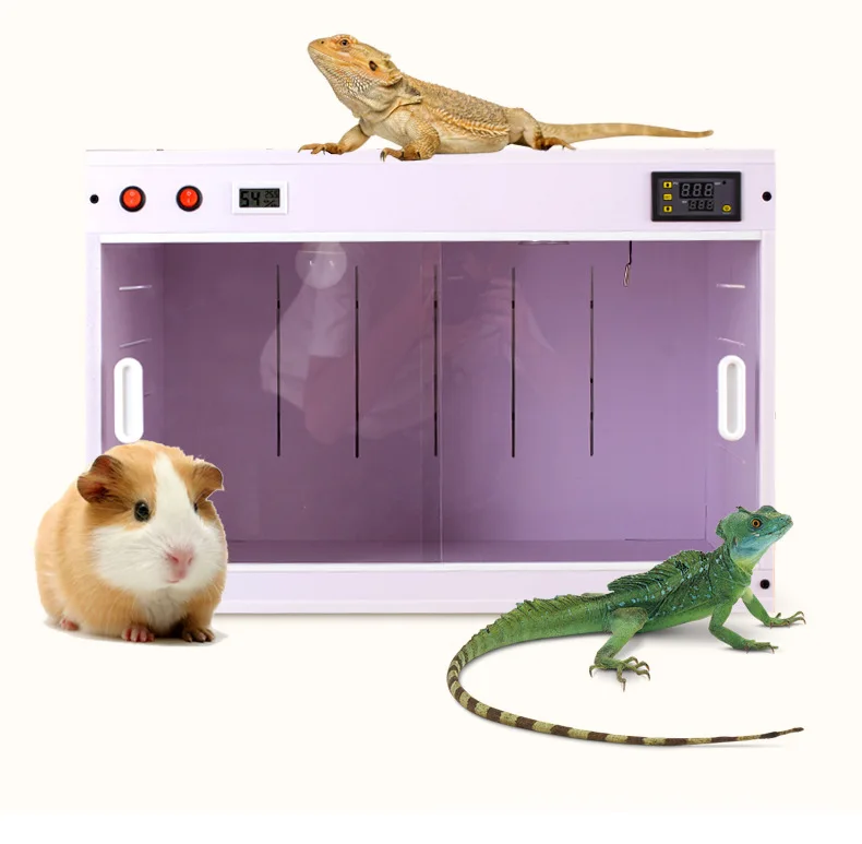 Customizable PVC Charging Reptiles Breeding Box Waterproof Moisture-Proof Feeding Enclosure Button Closure for Small Animals
Customizable PVC Charging Reptiles Breeding Box Waterproof Moisture-Proof Feeding Enclosure Button Closure for Small Animals