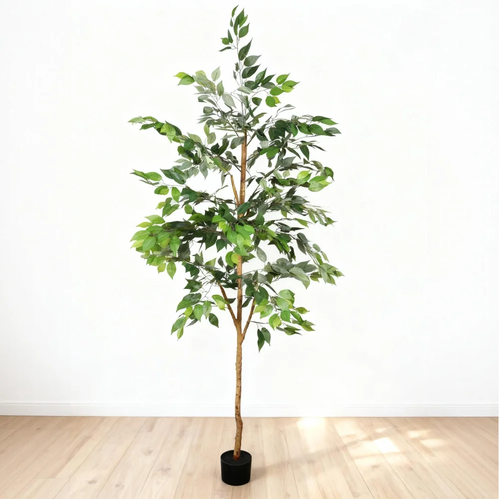 6FT Artificial Ficus Tree with Natural Trunk in Black Plastic Pot for Indoor Home Office Decor, 1pc/set
6FT Artificial Ficus Tree with Natural Trunk in Black Plastic Pot for Indoor Home Office Decor, 1pc/set