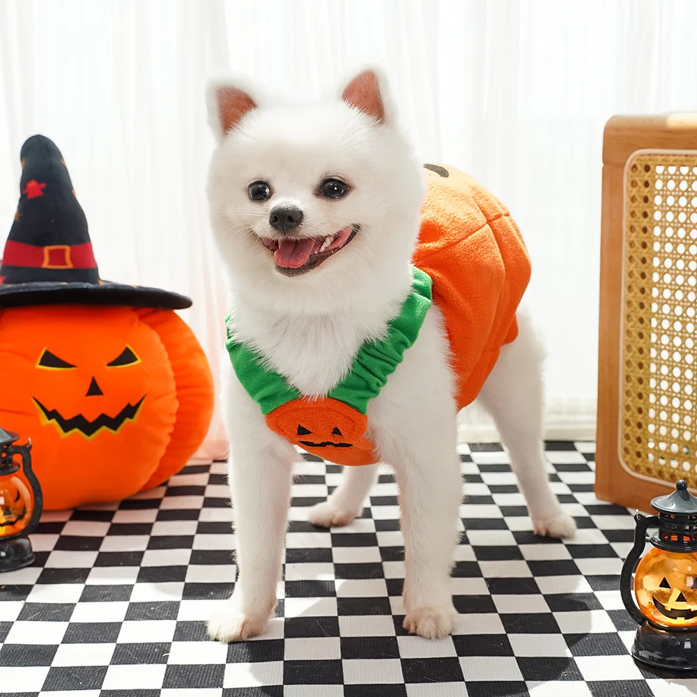 Autumn and Winter Dog Halloween Christmas Pumpkin Lantern Transformation Costume Funny Cat Two-Legged Pet Taidi Dog Clothes
Autumn and Winter Dog Halloween Christmas Pumpkin Lantern Transformation Costume Funny Cat Two-Legged Pet Taidi Dog Clothes