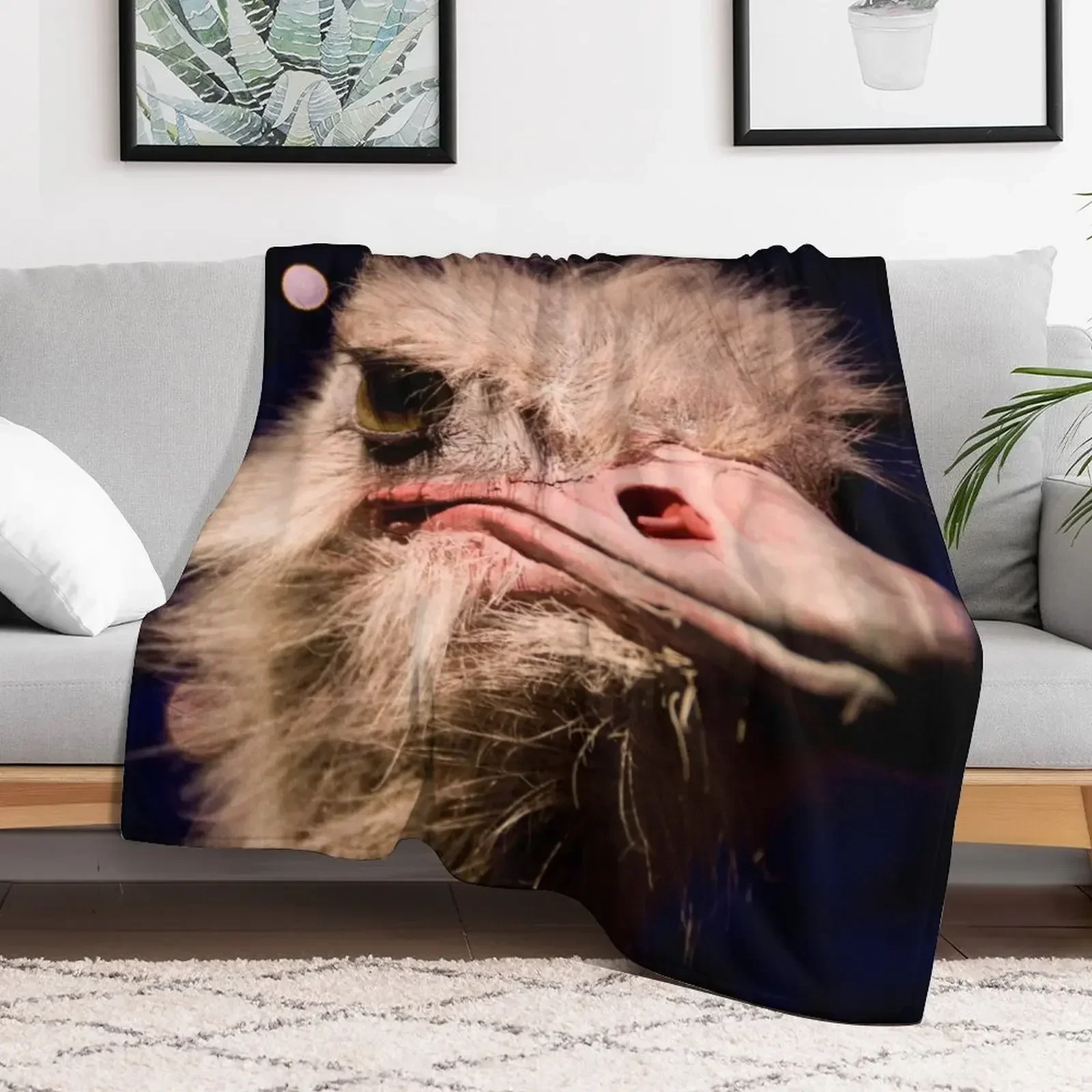 Ostrich Throw Blanket christmas decoration for sofa blankets and throws Quilt Blankets
Ostrich Throw Blanket christmas decoration for sofa blankets and throws Quilt Blankets