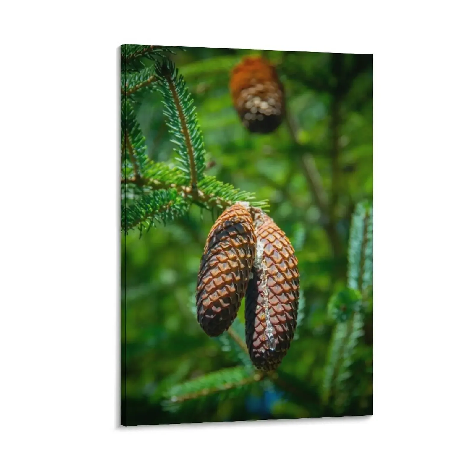 Dripping resin on pine cones Canvas Painting room decoration accessories room decor room decorations for girls
Dripping resin on pine cones Canvas Painting room decoration accessories room decor room decorations for girls