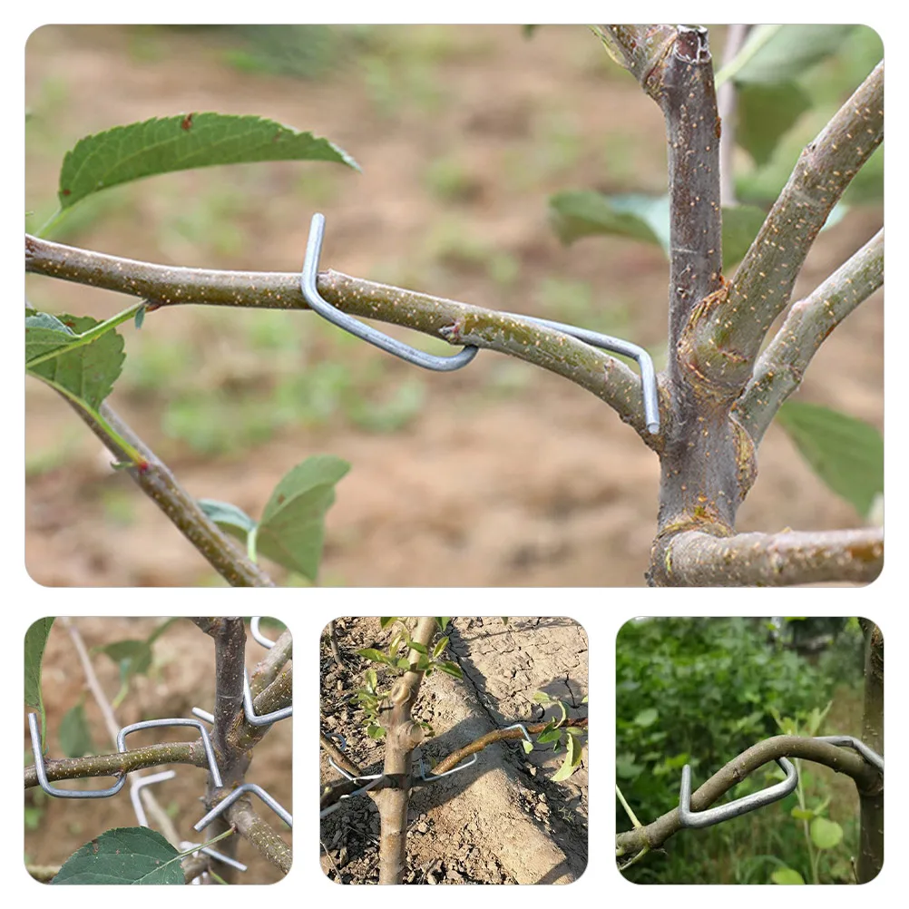 Branches Bending Fixing Tool Shaper Spreader Plant Steel Wire Tie Stick Gardening Twig Clips Puller Trainers Bonsai
Branches Bending Fixing Tool Shaper Spreader Plant Steel Wire Tie Stick Gardening Twig Clips Puller Trainers Bonsai