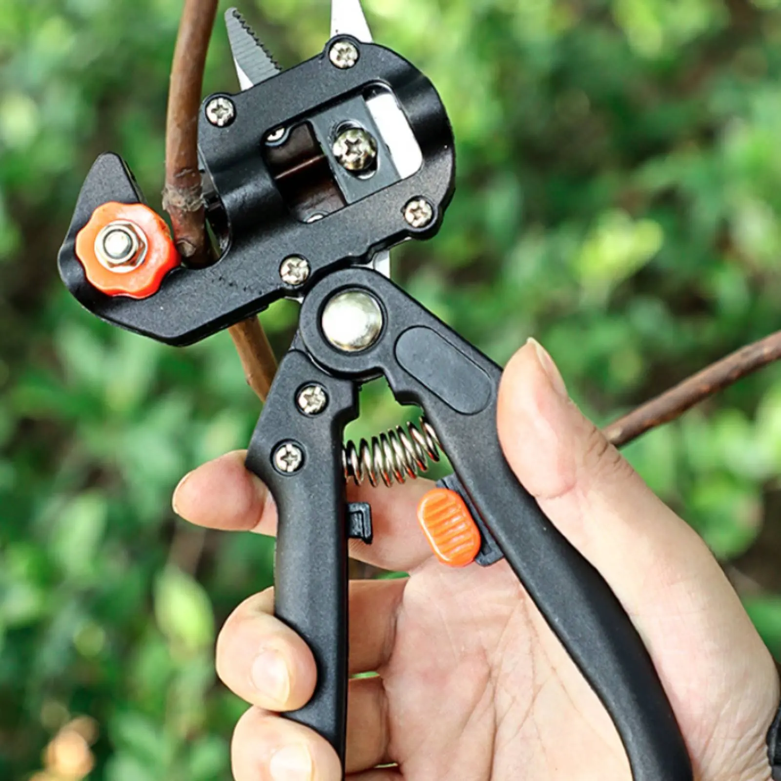 Pruning Grafting Shears Labor Saving Fruit Tree Grafting Cutter Precise Cutting Anti Skid Handle for Gardeners
Pruning Grafting Shears Labor Saving Fruit Tree Grafting Cutter Precise Cutting Anti Skid Handle for Gardeners