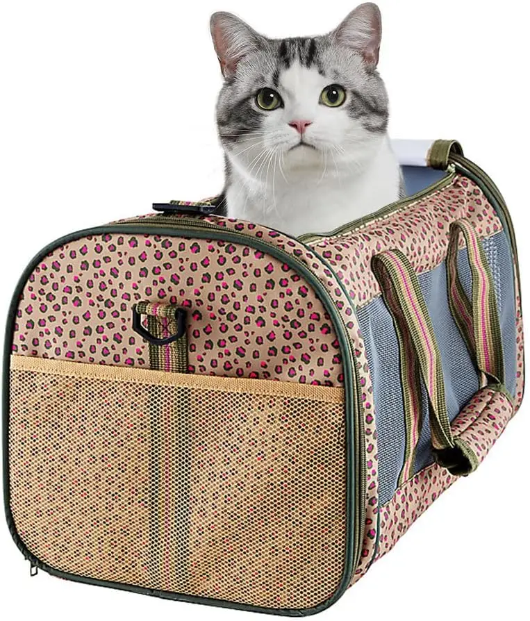 Soft-Sided Kennel Pet Carrier for Small Dogs, Cats, Puppy, Airline Approved Cat Carriers Dog Carrier Collapsible, Travel Hand
Soft-Sided Kennel Pet Carrier for Small Dogs, Cats, Puppy, Airline Approved Cat Carriers Dog Carrier Collapsible, Travel Hand