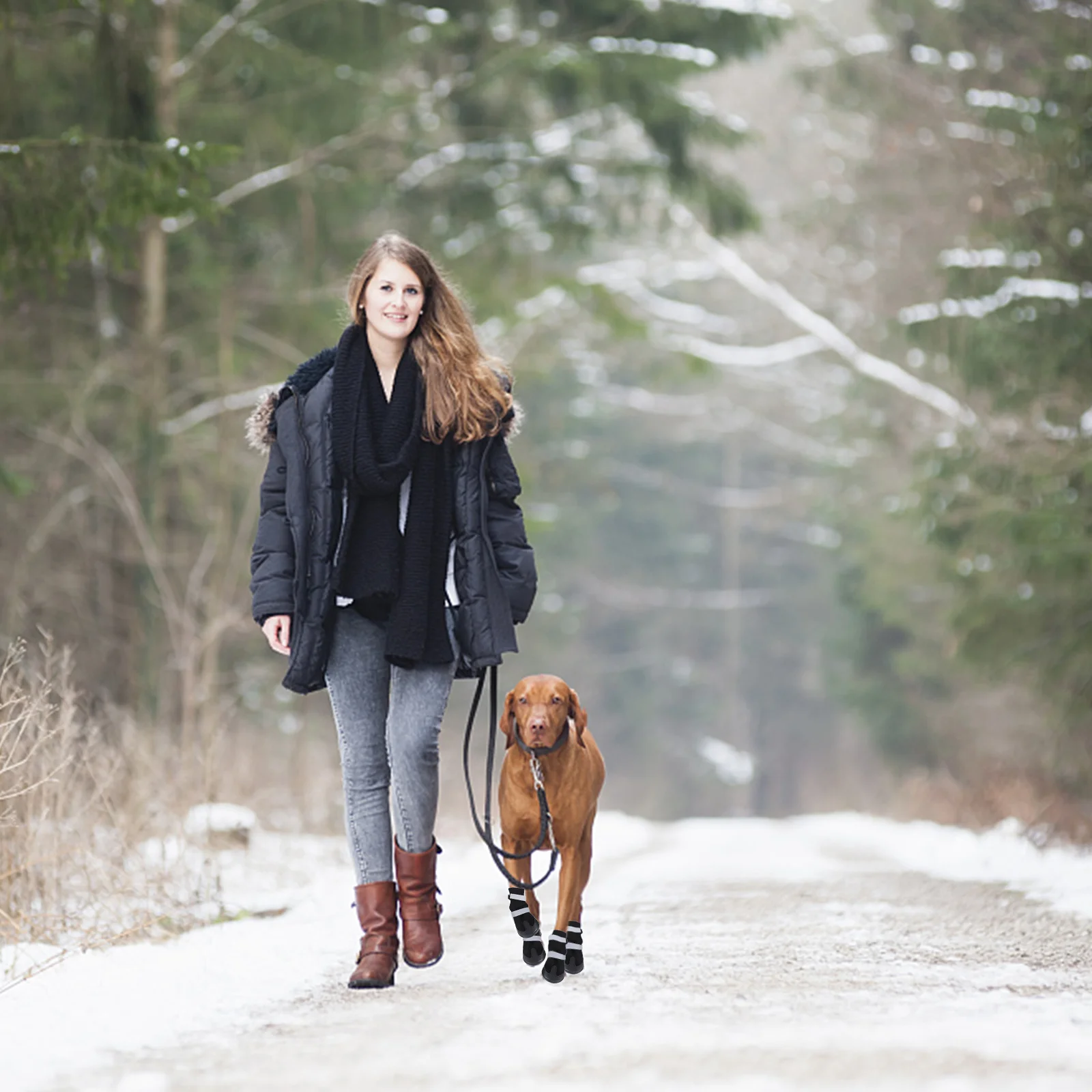 4 Pcs Dog Shoes for Large Dogs Breathable Boots Medium Warm Snow Pet Winter Long Barrel
4 Pcs Dog Shoes for Large Dogs Breathable Boots Medium Warm Snow Pet Winter Long Barrel