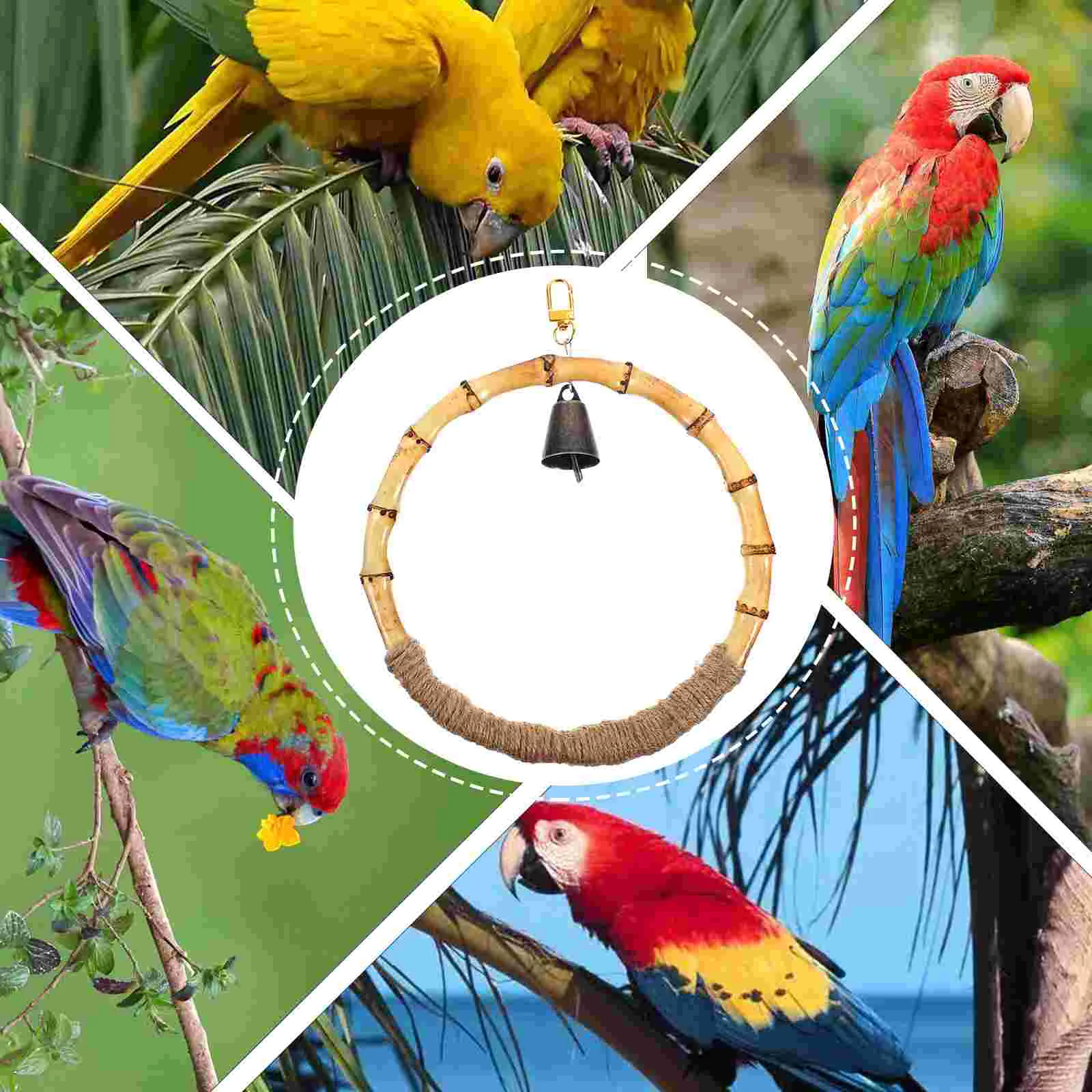 Parrot Summer Hammock Large Bird Toy Parakeet Toys for Cage Small Anti-bite Bamboo Training
Parrot Summer Hammock Large Bird Toy Parakeet Toys for Cage Small Anti-bite Bamboo Training