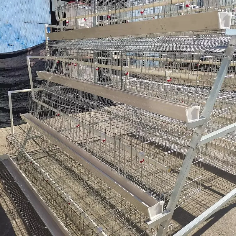 500 Capacity Galvanized Battery Chicken Cage for Poultry Farming New Steel 128/160 Drinking System Automatic Egg Layer Cages
500 Capacity Galvanized Battery Chicken Cage for Poultry Farming New Steel 128/160 Drinking System Automatic Egg Layer Cages