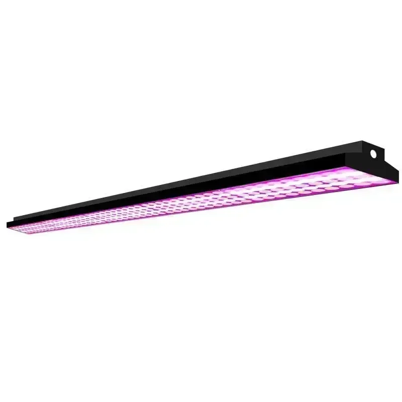 Hot Sales60W-70W Vegetables And Fruits Baked Meat Fresh LED Food Display Lighting Aluminu
Hot Sales60W-70W Vegetables And Fruits Baked Meat Fresh LED Food Display Lighting Aluminu