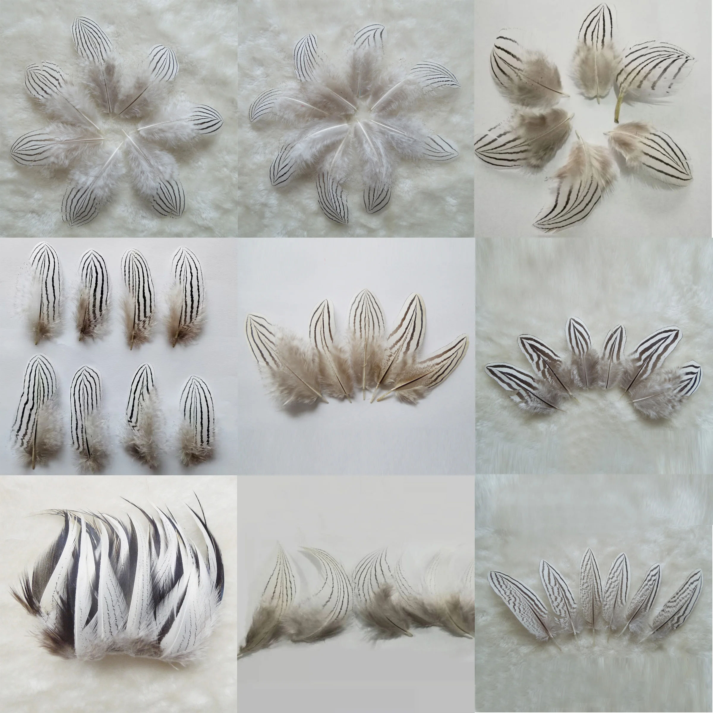 100Pcs/Lot! Party Decoration Plumas, SILVER PHEASANT Small FEATHERS with Strips,Natural White Black Fly/Fishing/Craft
100Pcs/Lot! Party Decoration Plumas, SILVER PHEASANT Small FEATHERS with Strips,Natural White Black Fly/Fishing/Craft