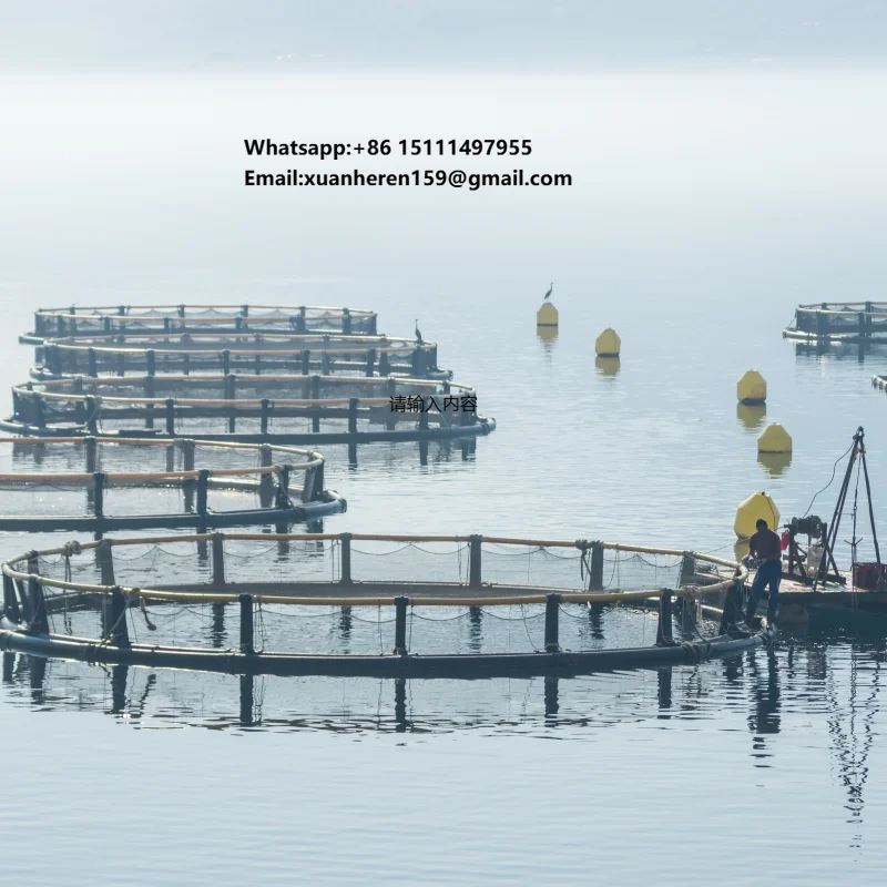 Hdpe Fishing Cage Floating Fish Farming Cage in Deepsea for Sea Aquaculature Lake Turkana Nile Perch Fish Farming Cages Costs
Hdpe Fishing Cage Floating Fish Farming Cage in Deepsea for Sea Aquaculature Lake Turkana Nile Perch Fish Farming Cages Costs