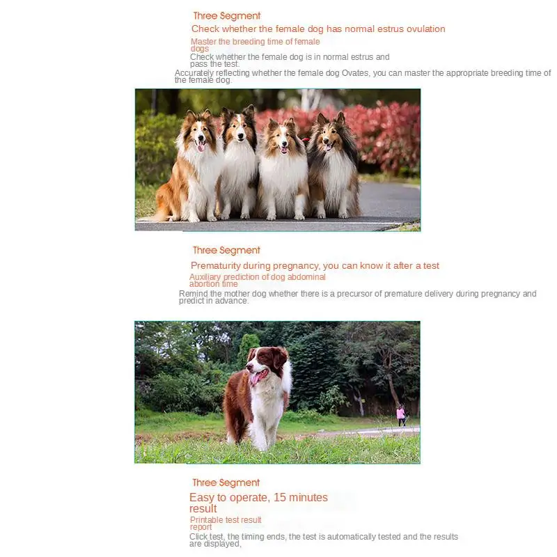 CheapDog Portable Progesterone Tester Canine Estrus Vet Progesterone Analyzer Dog Breeding Farm Veterinary Equipment Ke
CheapDog Portable Progesterone Tester Canine Estrus Vet Progesterone Analyzer Dog Breeding Farm Veterinary Equipment Ke