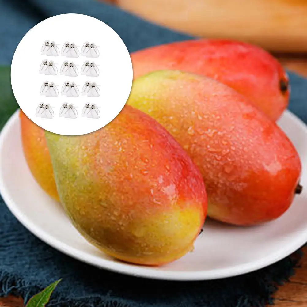 50Pcs Rose Organza Bags Reusable Lightweight Jewelry Pouch with Dual for Weddings Parties Favors White
50Pcs Rose Organza Bags Reusable Lightweight Jewelry Pouch with Dual for Weddings Parties Favors White