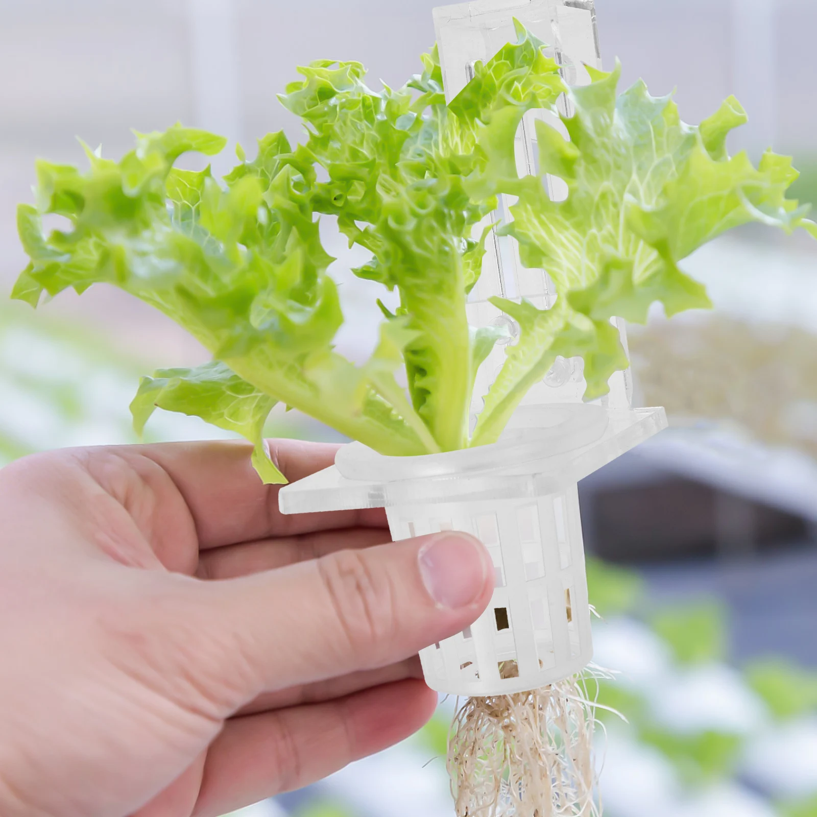 Hydroponic Plant Holders Aquarium Supplies Bubble Pot for Fish Tank Flower Planter Cup Aquatic Baskets Plants Garden Terrace
Hydroponic Plant Holders Aquarium Supplies Bubble Pot for Fish Tank Flower Planter Cup Aquatic Baskets Plants Garden Terrace