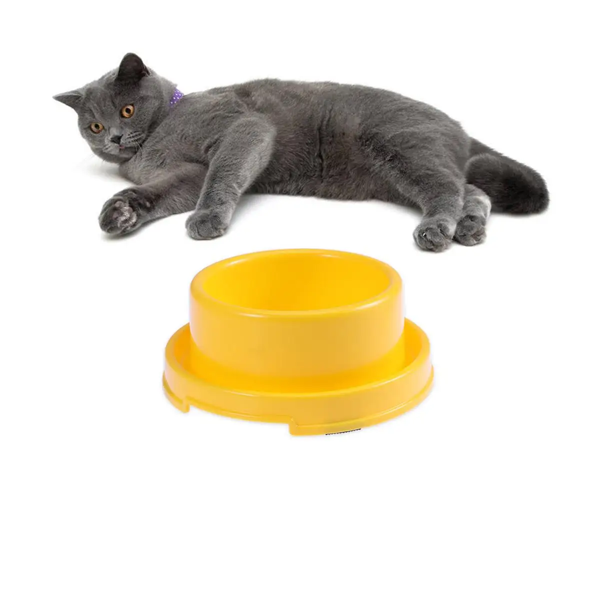 Ant proof Bowl for Dogs Cats Pet Feeding Small Dog Food Bowls Cat Food Bowls High Quality Thick Plastic Water for Kittens
Ant proof Bowl for Dogs Cats Pet Feeding Small Dog Food Bowls Cat Food Bowls High Quality Thick Plastic Water for Kittens