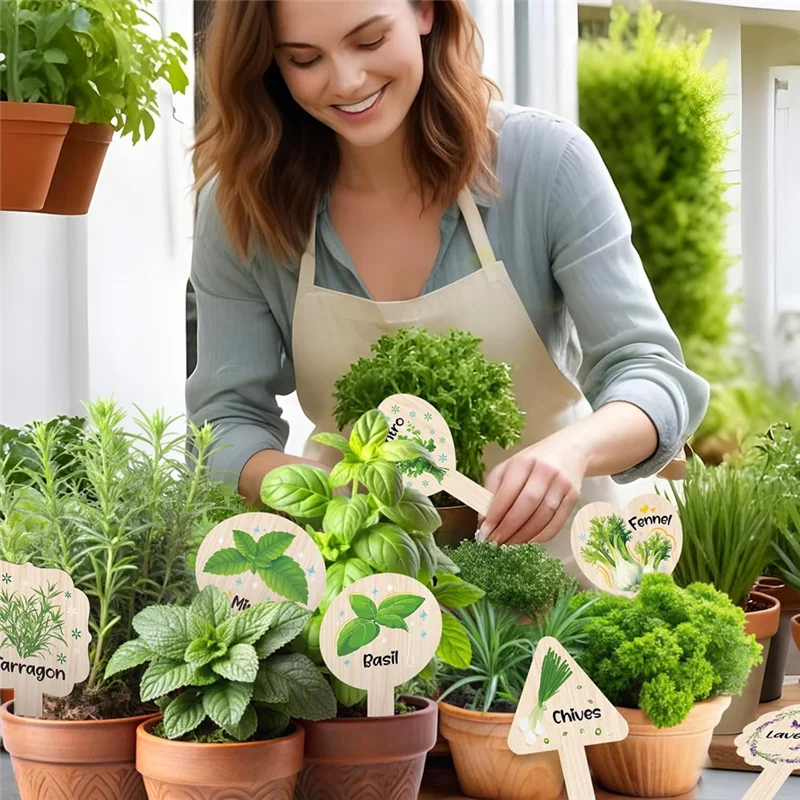 HRBAJ-Plant Tags With Names Labels For Outdoor Garden 15PACK Waterproof,Plant Label Signs Markers
HRBAJ-Plant Tags With Names Labels For Outdoor Garden 15PACK Waterproof,Plant Label Signs Markers