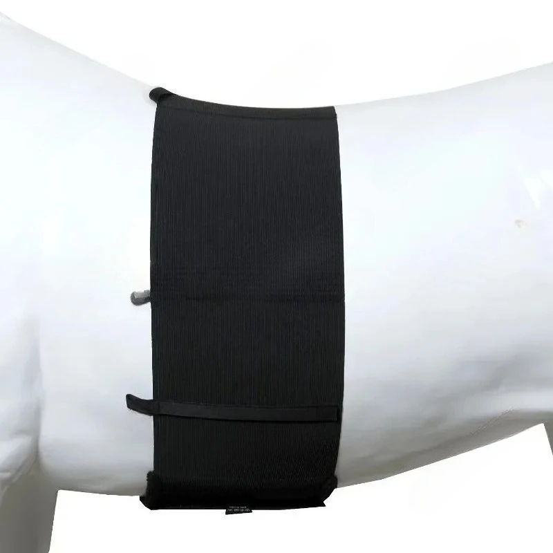 Popular European Horse Belly Strap Horse Abdominal Elastic Bandage Anti-spur Injury Protect Wounds
Popular European Horse Belly Strap Horse Abdominal Elastic Bandage Anti-spur Injury Protect Wounds