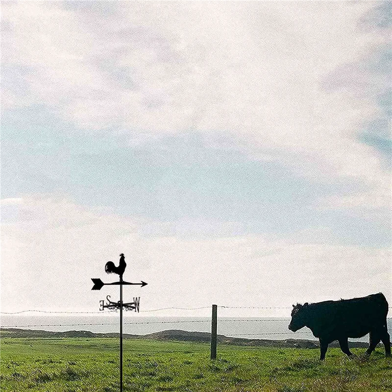 Y49A-3X Weathervane With Animal Chickens Garden Stake Weather Vane Wind Direction Rooster Cockerel Ornament Art Craft
Y49A-3X Weathervane With Animal Chickens Garden Stake Weather Vane Wind Direction Rooster Cockerel Ornament Art Craft
