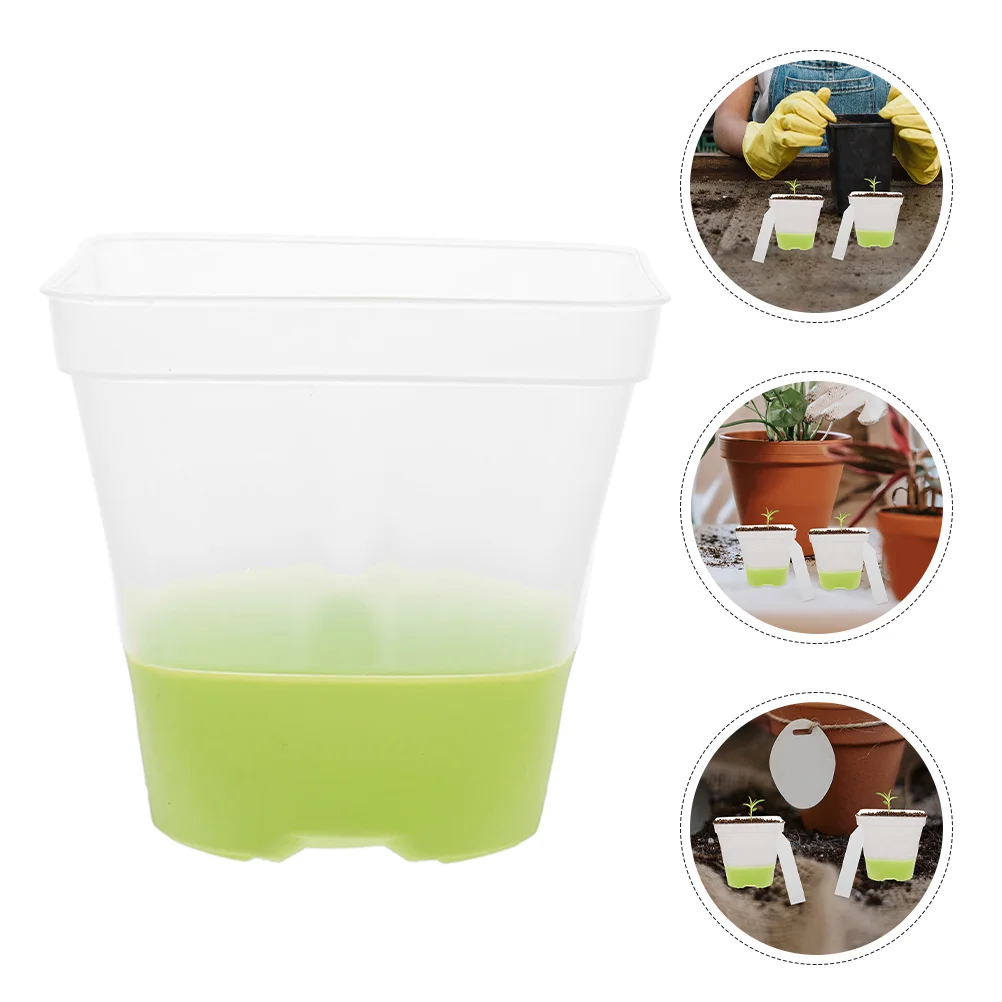 Flower Pot Transparent Silicone Orchid Breathable Pots Plant Light Green Silica Gel
Flower Pot Transparent Silicone Orchid Breathable Pots Plant Light Green Silica Gel
