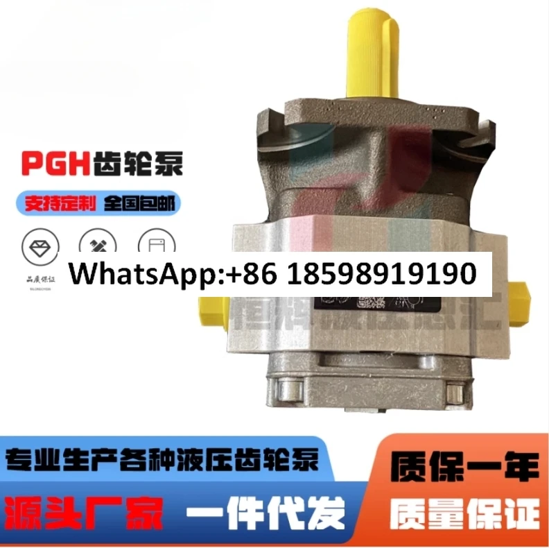 Шестеренчатый насос PGF2-22/011R PGH3-22/022R Гидравлический масляный насос PGM PGP
Шестеренчатый насос PGF2-22/011R PGH3-22/022R Гидравлический масляный насос PGM PGP