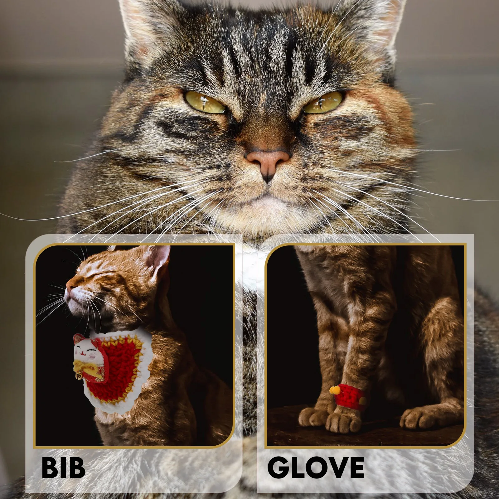 1 set Fashionable Pet New Year Bib Gloves Decorative Costume Perfect for Pictures Parties Daily Life
1 set Fashionable Pet New Year Bib Gloves Decorative Costume Perfect for Pictures Parties Daily Life