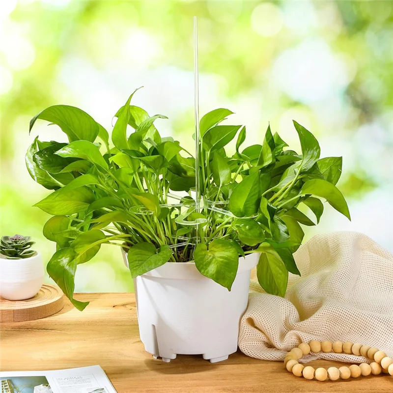 AB33-18 шт. 16-дюймовые акриловые колья для растений с крючком для стеблей, садовые колья для поддержки растений, прозрачные палочки для растений для растений
AB33-18 шт. 16-дюймовые акриловые колья для растений с крючком для стеблей, садовые колья для поддержки растений, прозрачные палочки для растений для растений