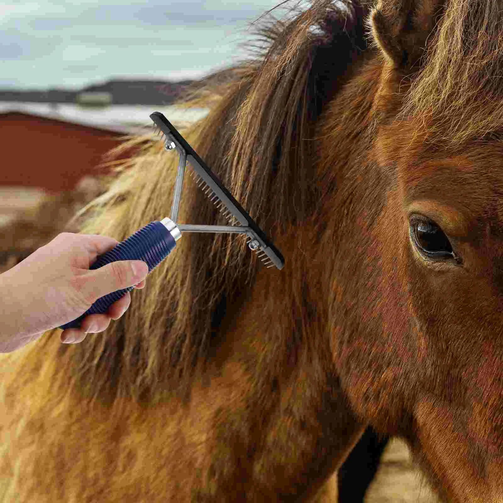 Horse Cleaning Brush Grooming Combs for Dogs Sheep Horses Plastic Metal Dematting Tool Shedding Rake Pet
Horse Cleaning Brush Grooming Combs for Dogs Sheep Horses Plastic Metal Dematting Tool Shedding Rake Pet