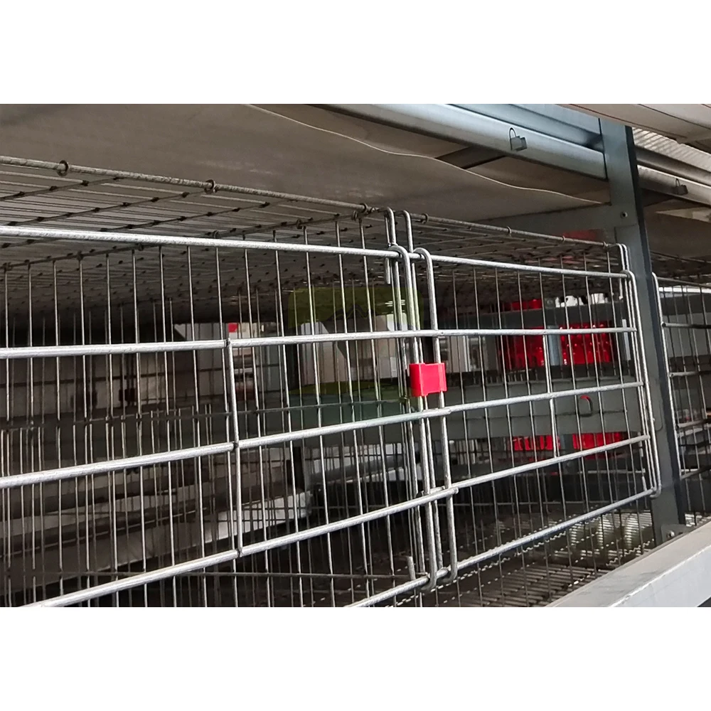 Commercial Poultry Equipment Stackable Layer Hen Cages Galvanized Steel
Commercial Poultry Equipment Stackable Layer Hen Cages Galvanized Steel