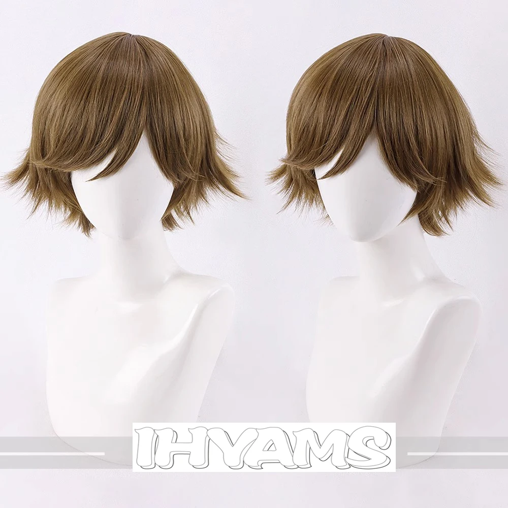 Persona 3 Reload P3R Amada Ken Cosplay Wig Brown Blonde Short Synthetic Hair
Persona 3 Reload P3R Amada Ken Cosplay Wig Brown Blonde Short Synthetic Hair