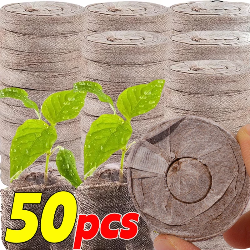 Nursery Pots Plant Starting Pellets Soil Block Compressed Soil Pellets Plant Starter Pods Compact Plants Pods Bulk Garden Supply
Nursery Pots Plant Starting Pellets Soil Block Compressed Soil Pellets Plant Starter Pods Compact Plants Pods Bulk Garden Supply
