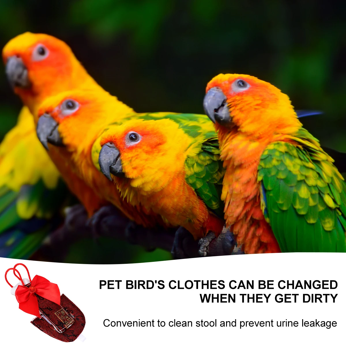 Parrot Flight Suit Where Bird Clothes Pet Flying Costume Pilot Clothing Accessories Birds Cotton Baby Supplies
Parrot Flight Suit Where Bird Clothes Pet Flying Costume Pilot Clothing Accessories Birds Cotton Baby Supplies