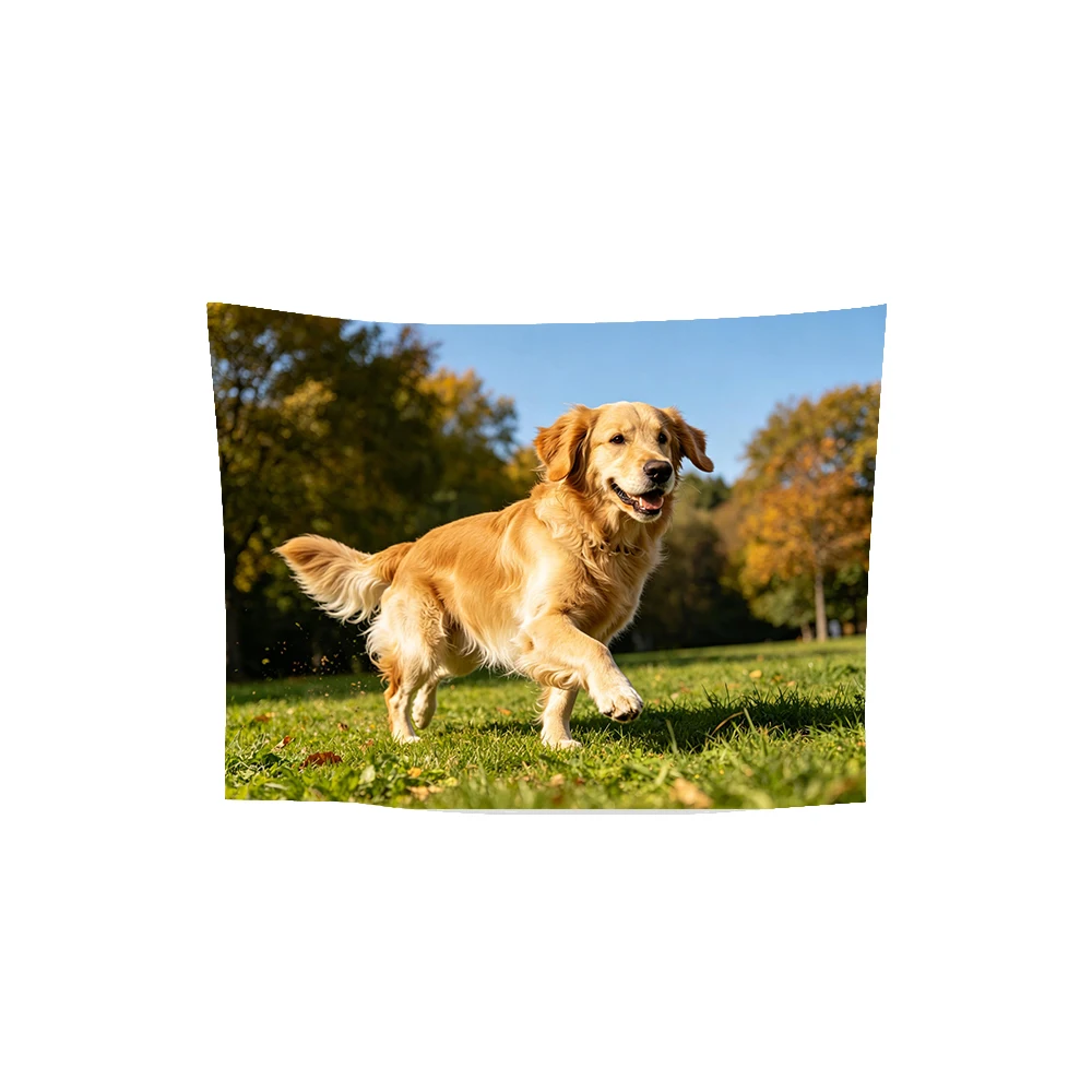 Capture Life's Most Precious Moments with This Custom Photo Tapestry, Ideal for Anniversaries, Birthdays, and Wedding Decoration
Capture Life's Most Precious Moments with This Custom Photo Tapestry, Ideal for Anniversaries, Birthdays, and Wedding Decoration