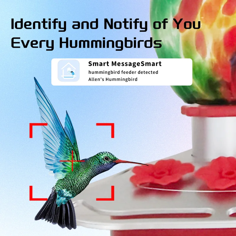 APP Controlled Smart Water Fountain - Automatic Pet Drinker & Hummingbird Feeder, Indoor/Outdoor Use (CE/FCC)
APP Controlled Smart Water Fountain - Automatic Pet Drinker & Hummingbird Feeder, Indoor/Outdoor Use (CE/FCC)