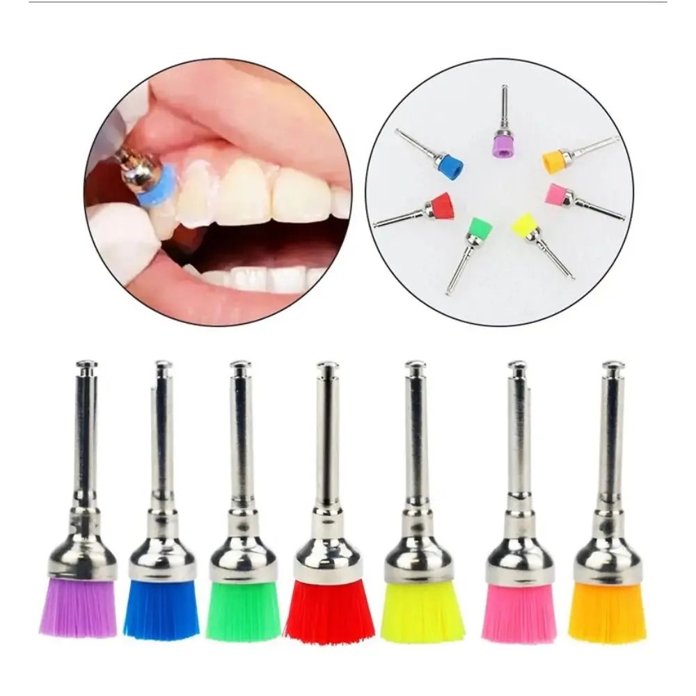 Colorful Dental Polishing Brushes Latch Screw Type Nylon Bristle Polisher Accessory RA Shank Tooth Polishing Brushes Dental Care
Colorful Dental Polishing Brushes Latch Screw Type Nylon Bristle Polisher Accessory RA Shank Tooth Polishing Brushes Dental Care