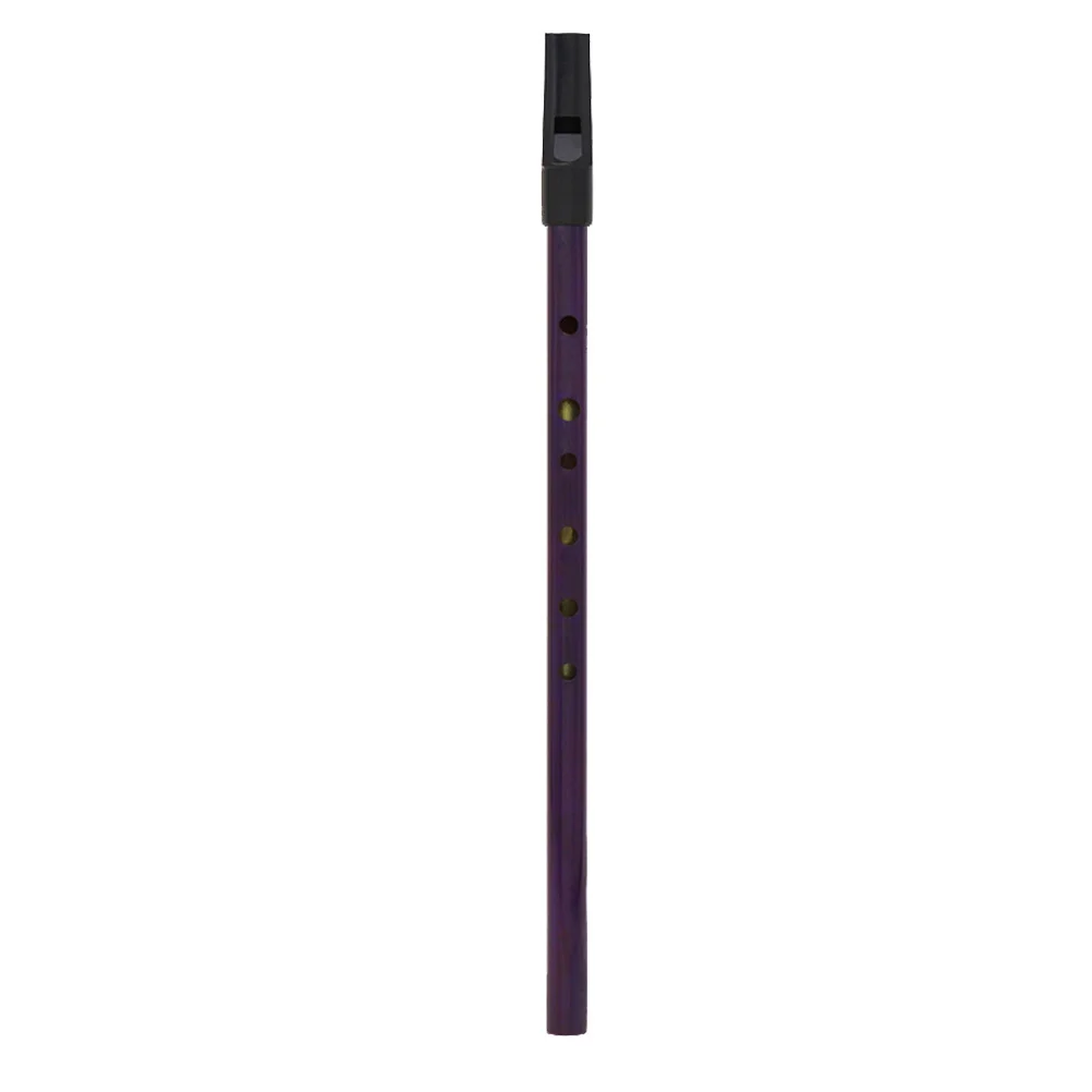 Irish Whistle Flute Soprano Recorder D Tone Portable D Tone Flute Musical Instrument Easy Soprano Recorder to Play
Irish Whistle Flute Soprano Recorder D Tone Portable D Tone Flute Musical Instrument Easy Soprano Recorder to Play