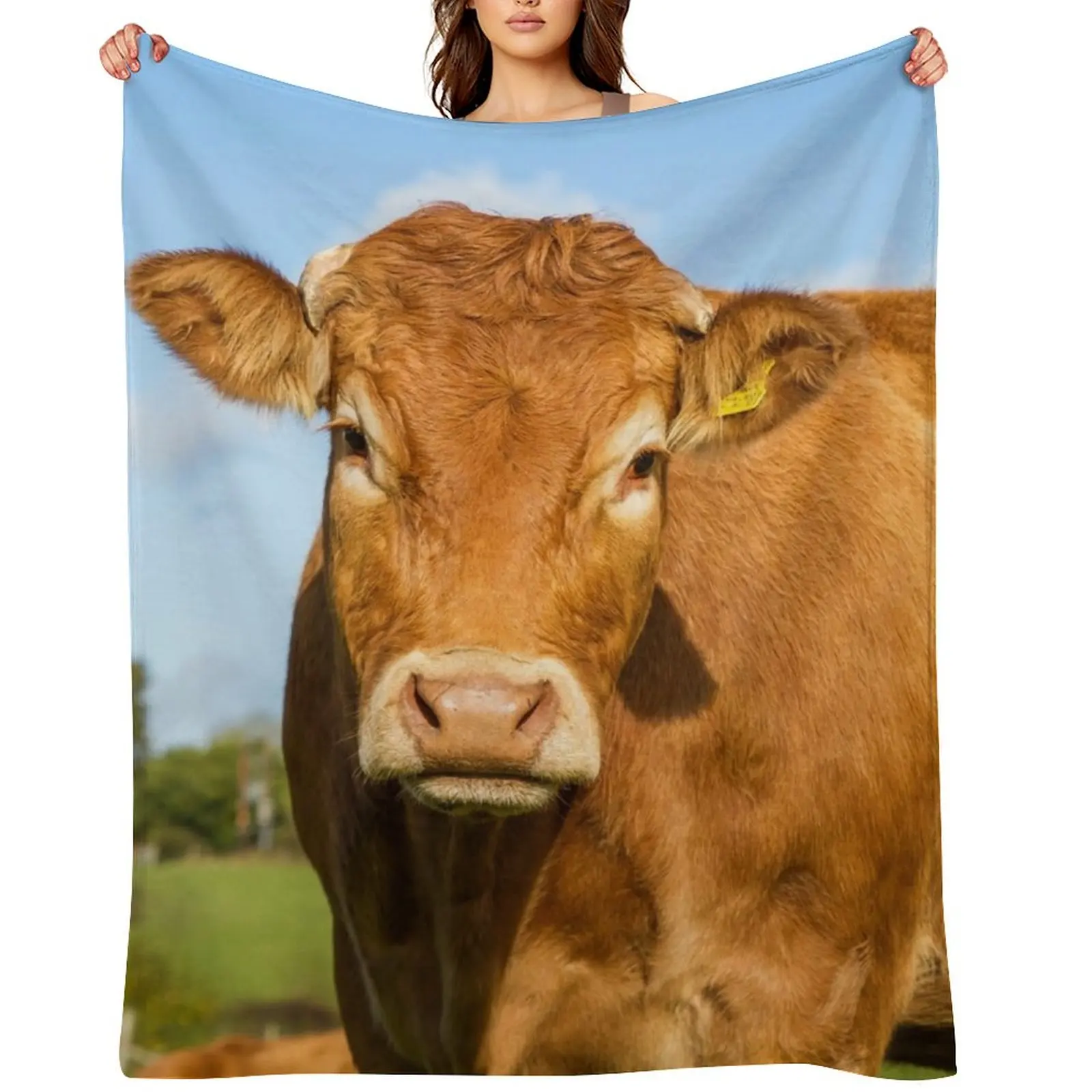 Limousin Cow Throw Blanket Decorative Sofa Thermals For Travel For Baby warm for winter Blankets
Limousin Cow Throw Blanket Decorative Sofa Thermals For Travel For Baby warm for winter Blankets