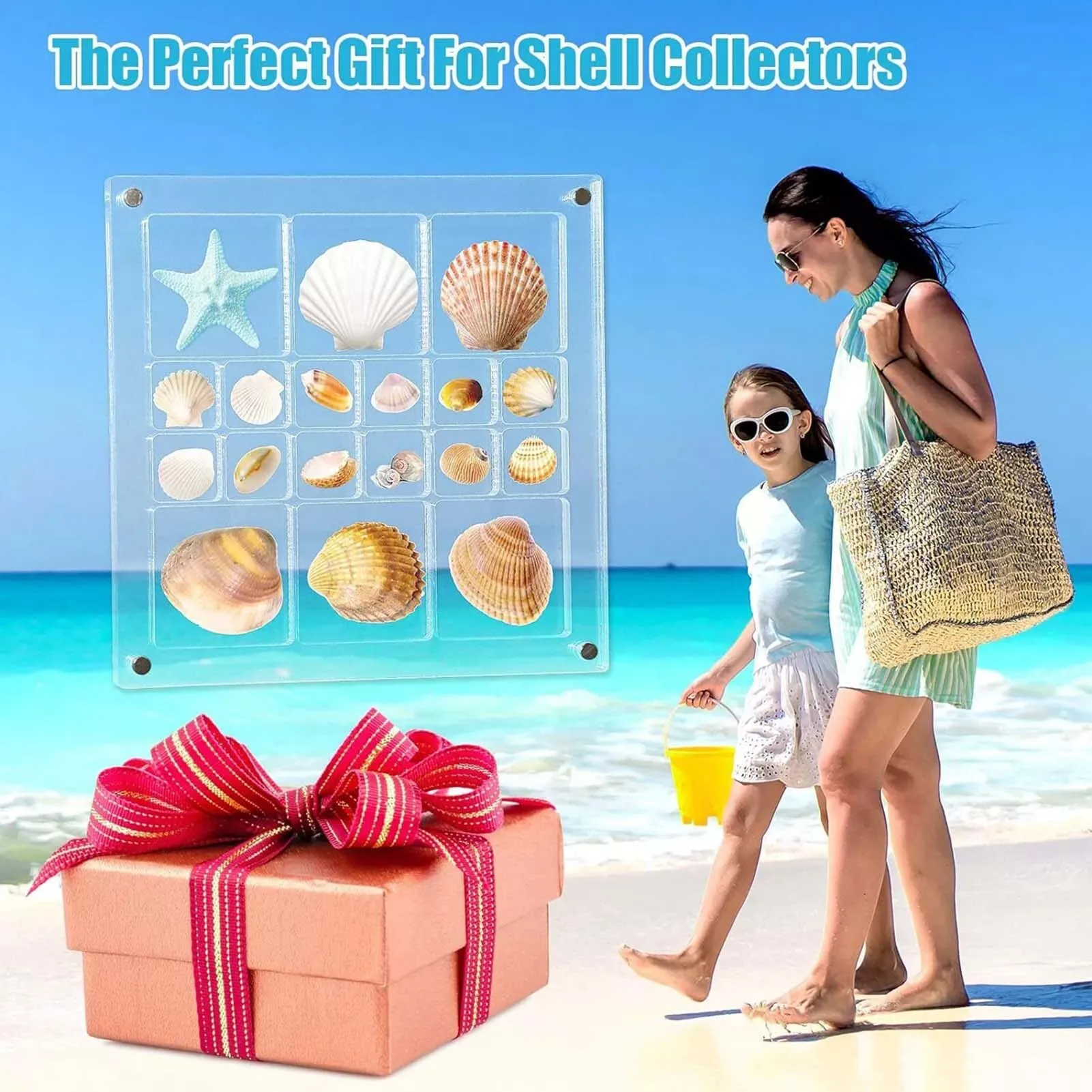 36-100 Grids Acrylic Magnetic Seashell Jewelry Display Case With Base Compact Collection Box For Shells Diamonds
36-100 Grids Acrylic Magnetic Seashell Jewelry Display Case With Base Compact Collection Box For Shells Diamonds