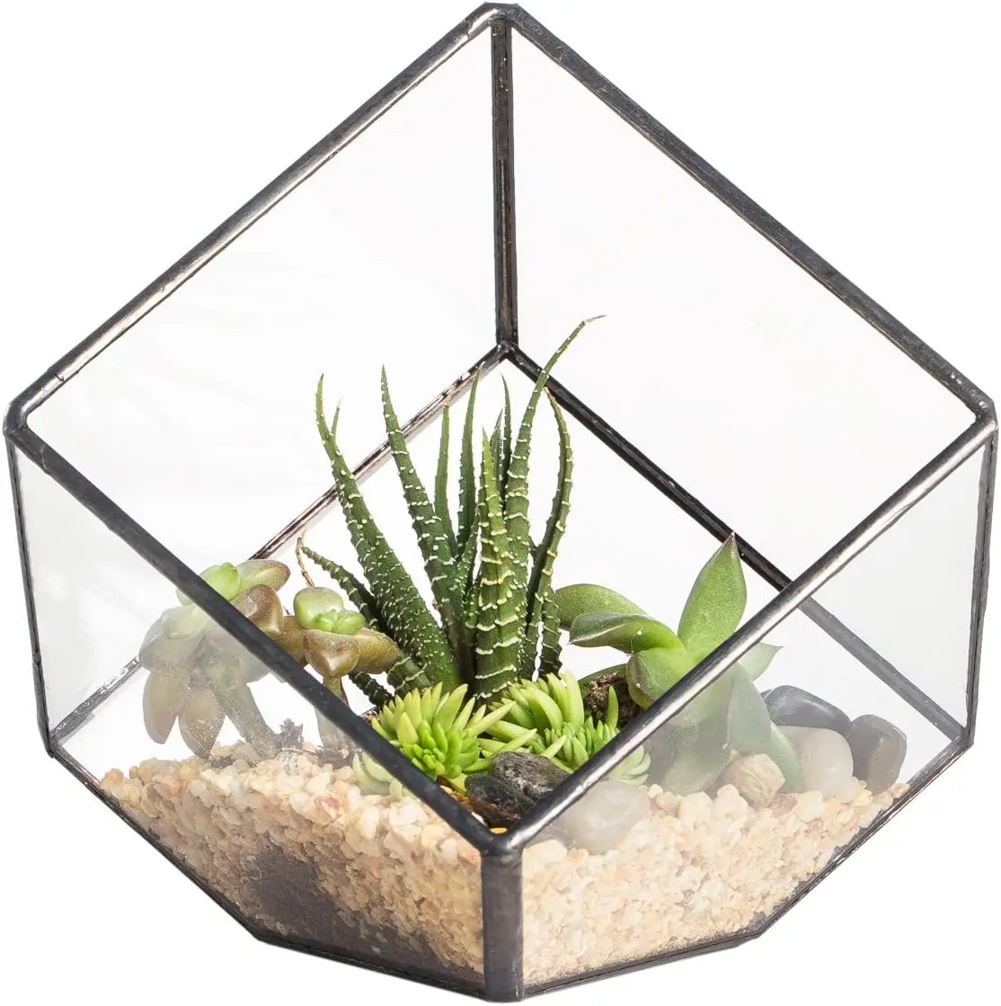 3.93" Geometric Glass Terrarium, Inclined Cube Planter for Succulents & Air Plants, Black Frame, Tabletop Decorative Display
3.93" Geometric Glass Terrarium, Inclined Cube Planter for Succulents & Air Plants, Black Frame, Tabletop Decorative Display